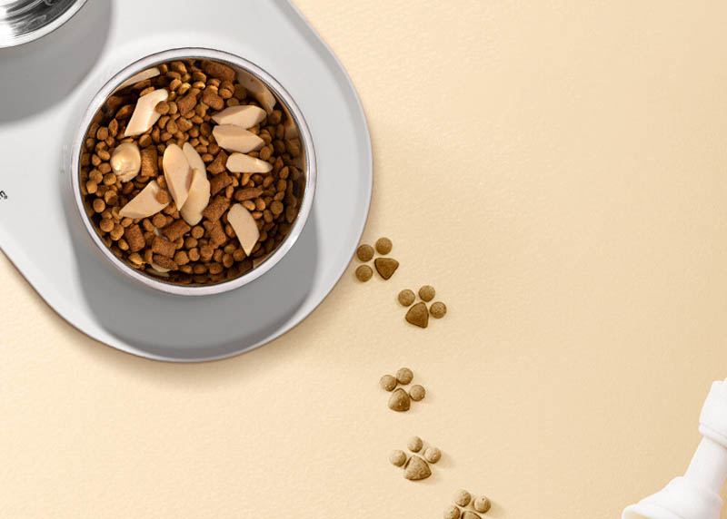 custom dog bowl